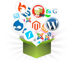 Carry your business to the next level with web application development